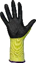 G21N-3.webp