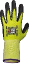 G21N-2.webp