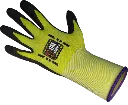G21N-5.webp