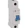 [1492-SPM1C300] SUPLEMENTARIO ALLEN-BRADLEY 1P 30A